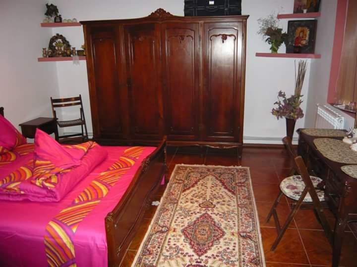 Hotel Casa De Vacanta Pravdencu à Mahmudia Extérieur photo