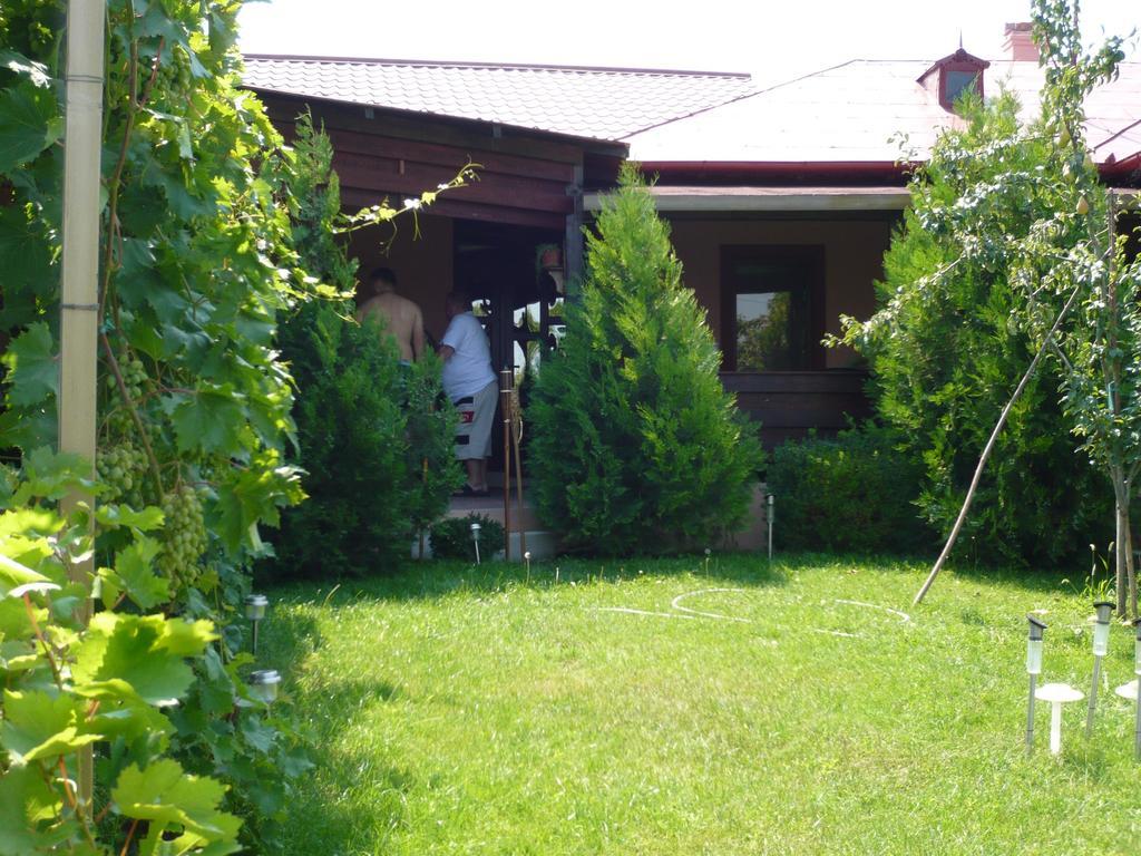 Hotel Casa De Vacanta Pravdencu à Mahmudia Extérieur photo